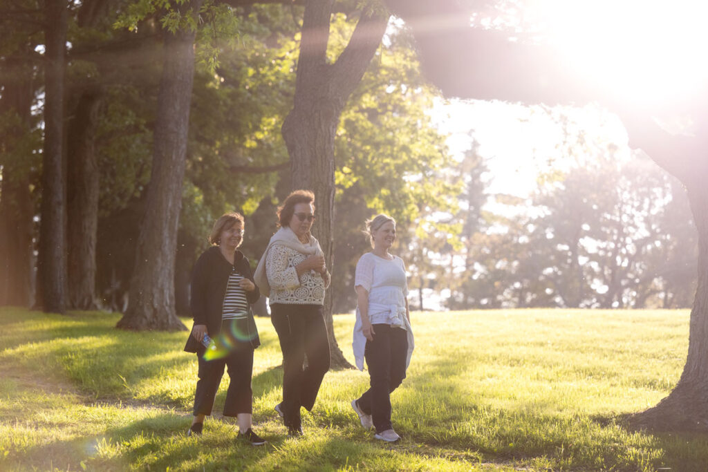 The programs featured image